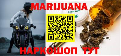 шишки Новодвинск