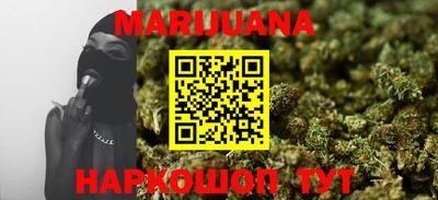 шишки Новодвинск