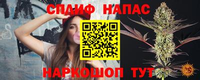 шишки Новодвинск
