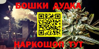 шишки Новодвинск