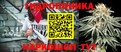 марки nbome Новозыбков