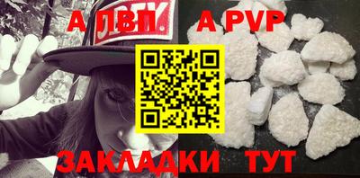 шишки Новодвинск