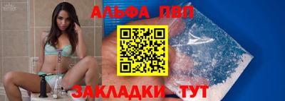 шишки Новодвинск