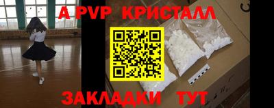 шишки Новодвинск