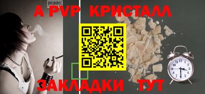 шишки Новодвинск