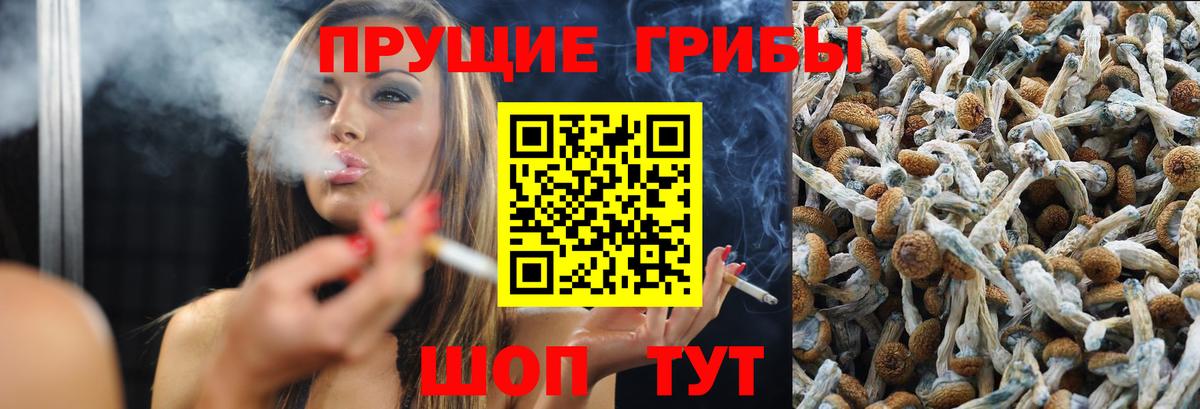 Томск  Псилоцибиновые грибы GOLDEN TEACHER  Вход с VPN  Псилоцибиновые грибы мухоморы 