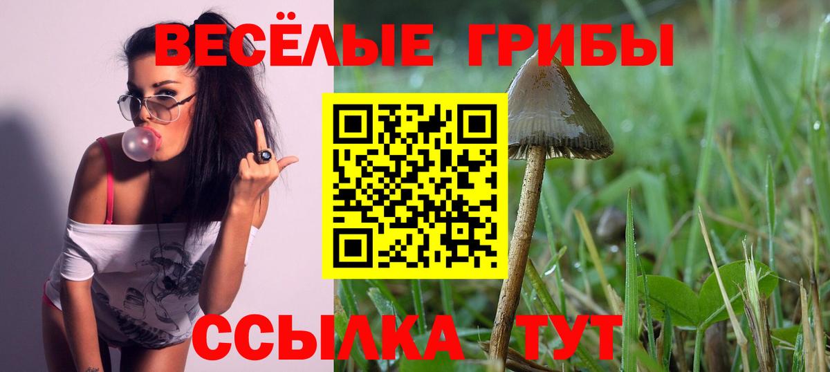 Галлюциногенные грибы мицелий Томск