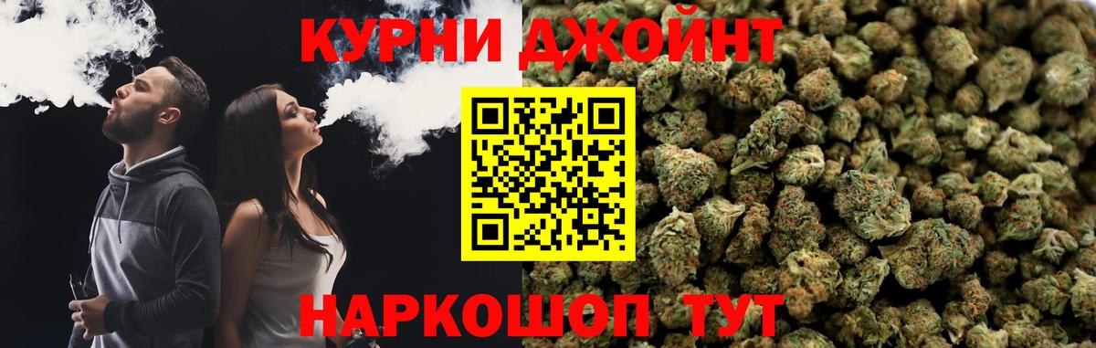 Конопля тримм Томск